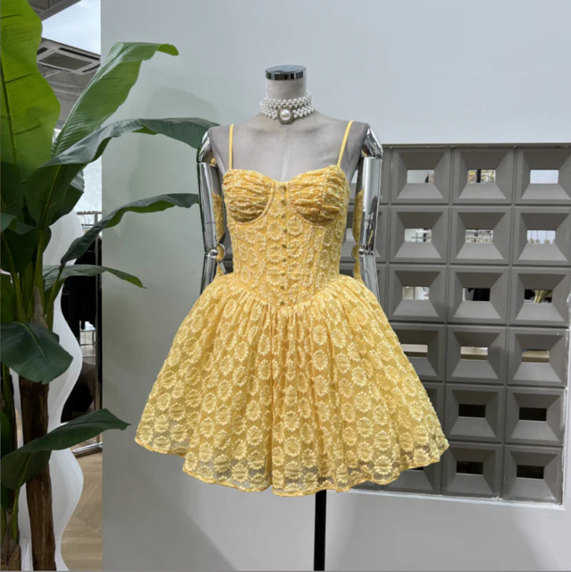 Luminelle Lace Mini Dress