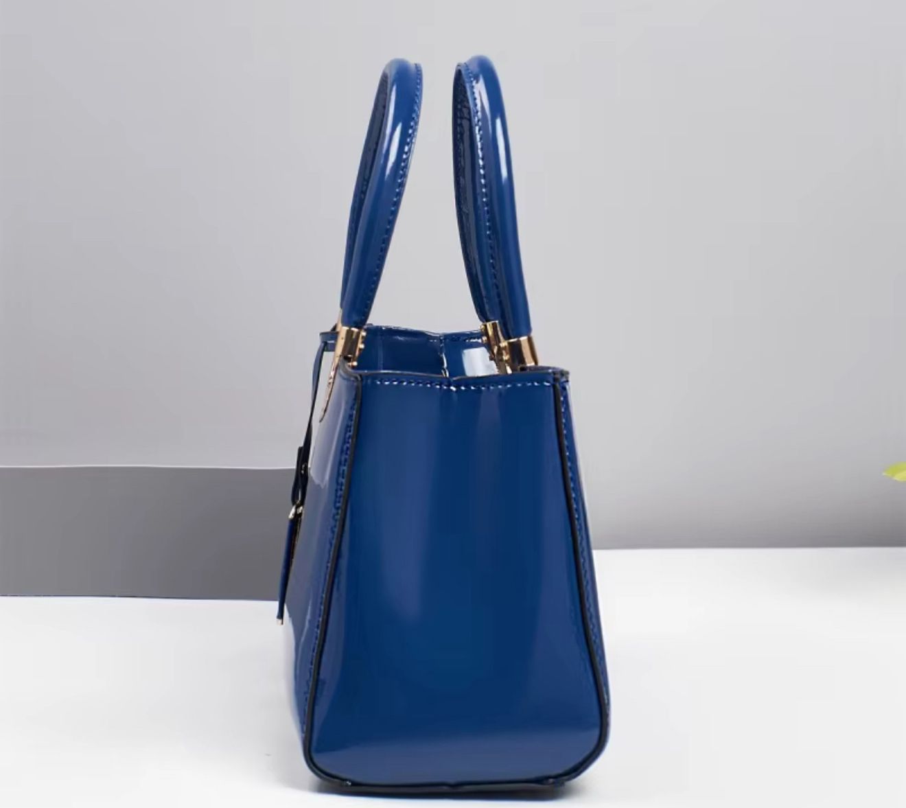 fashionista bag