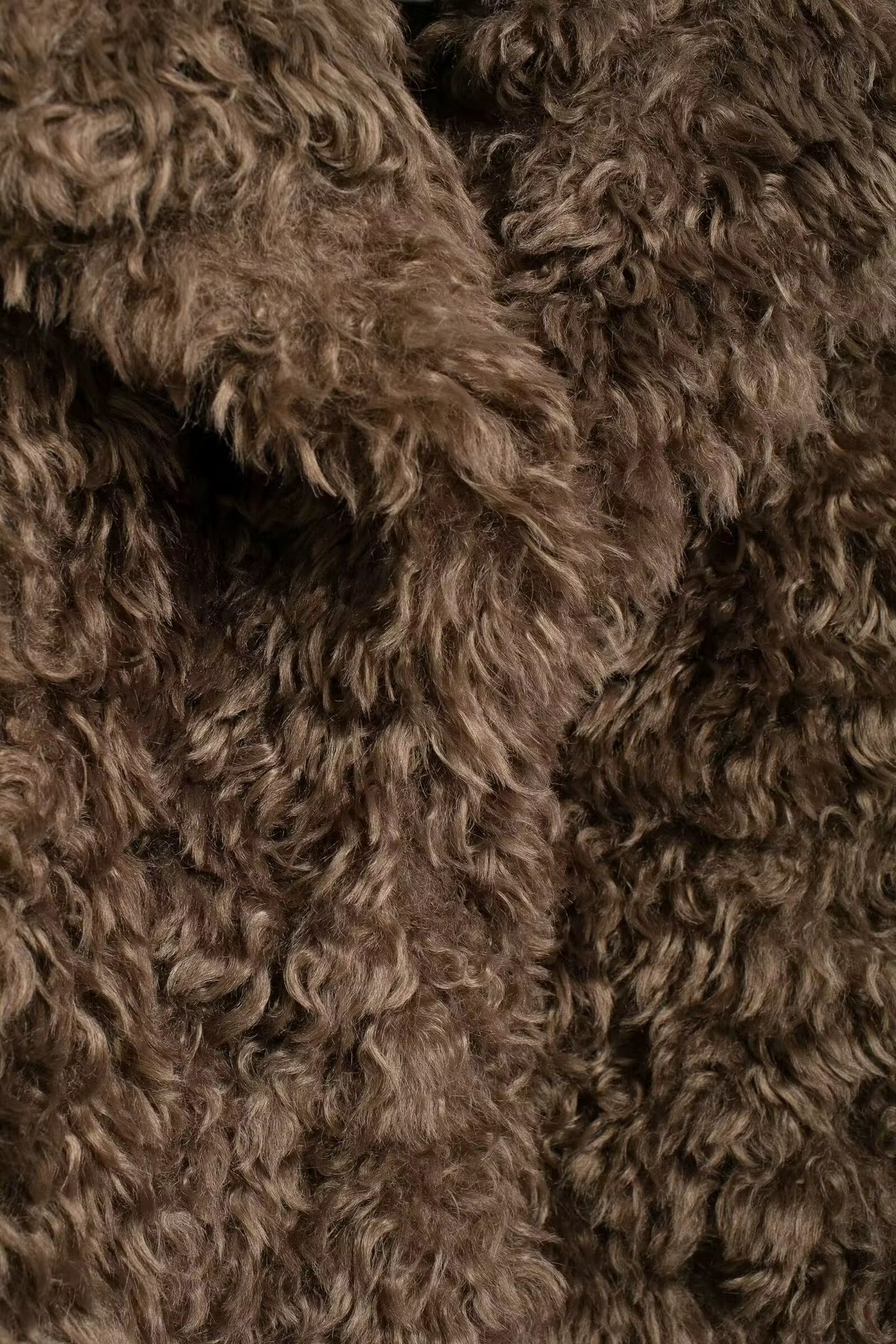 Curly Plush Winter Coat