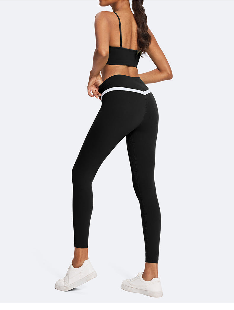 Sculpt Flex Active Set