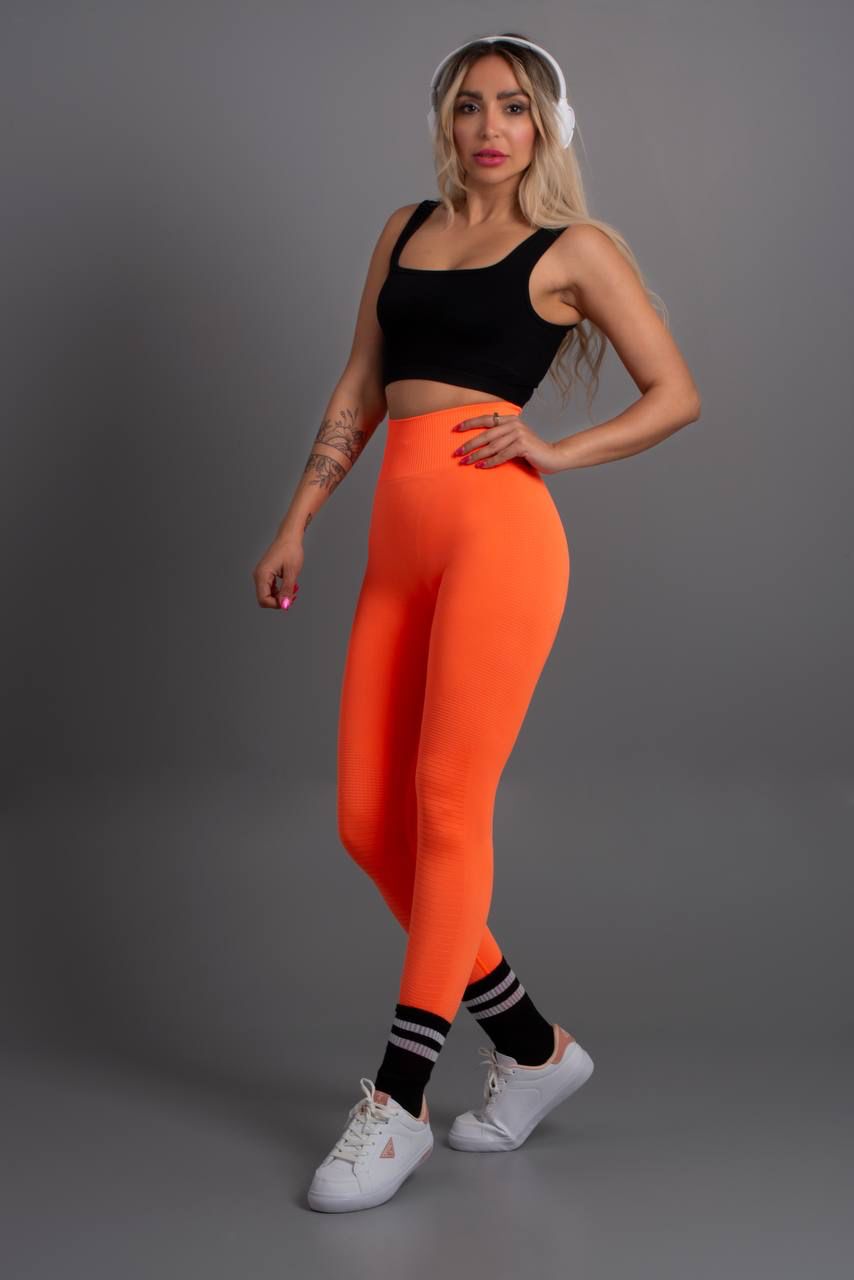 Seamless Tight - MD Fashionwear