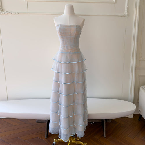 Celestelle Mesh Cake Maxi Dress