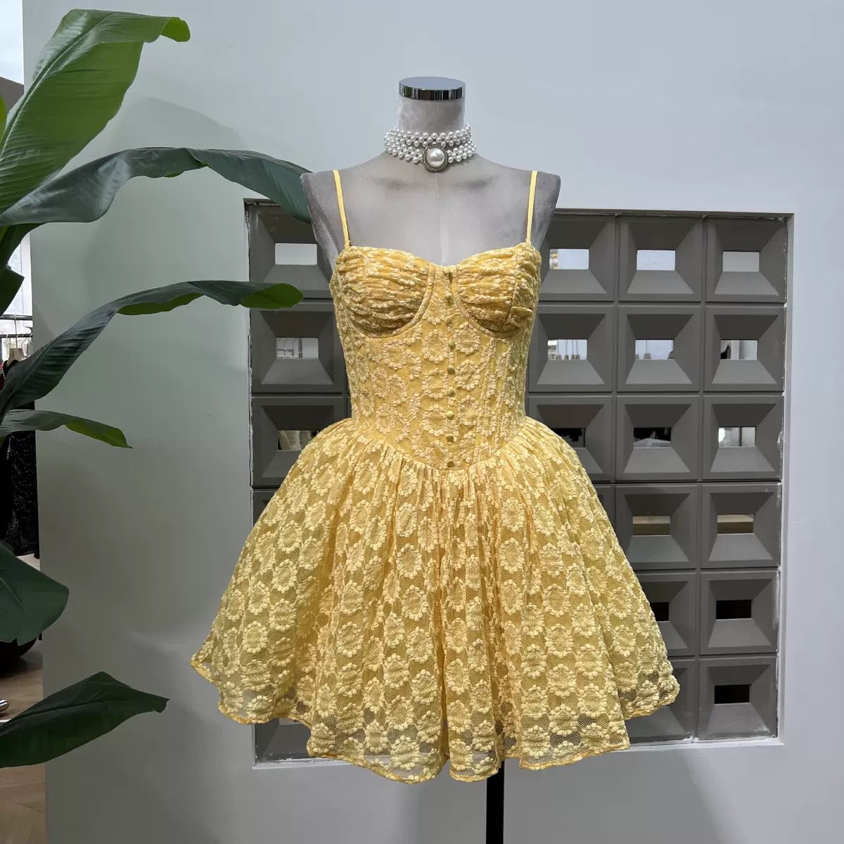 Luminelle Lace Mini Dress