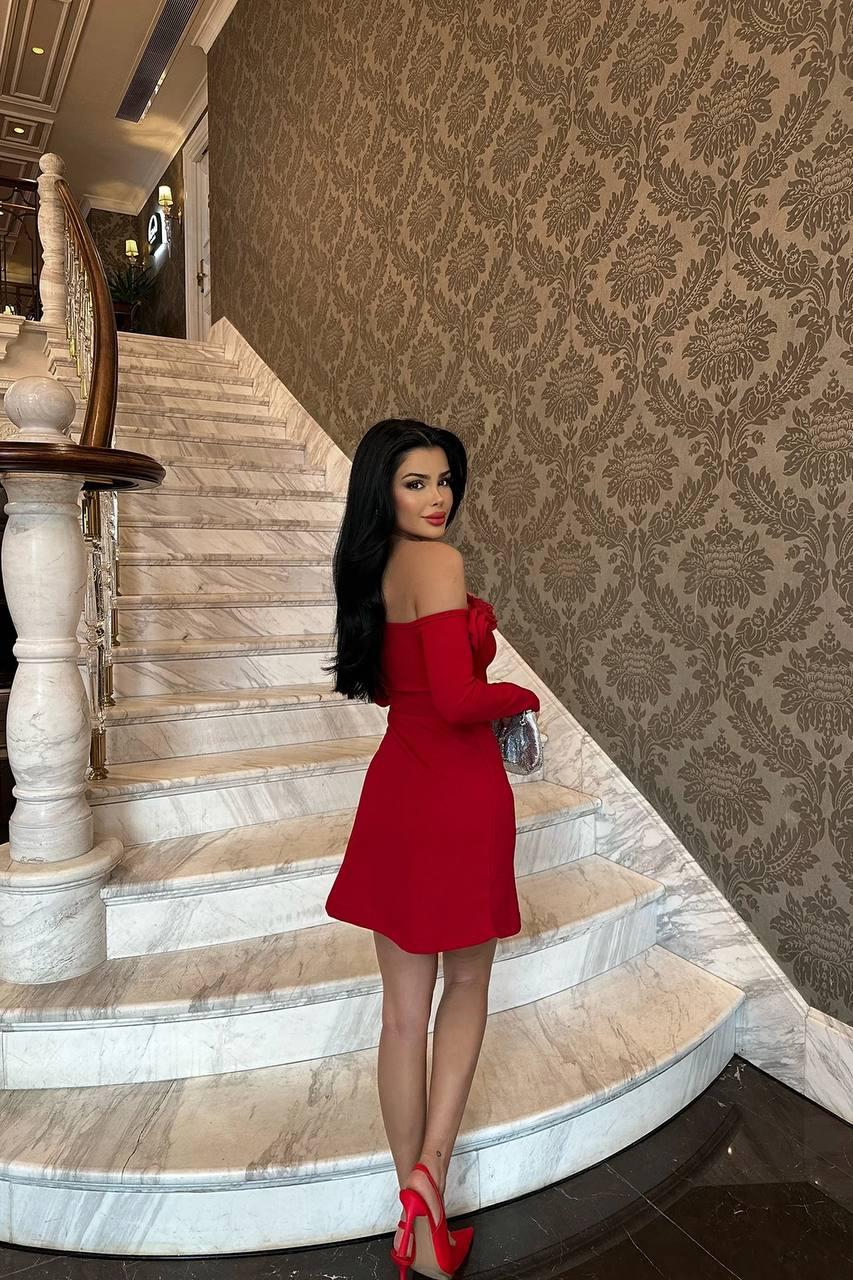Maya Mini Dress