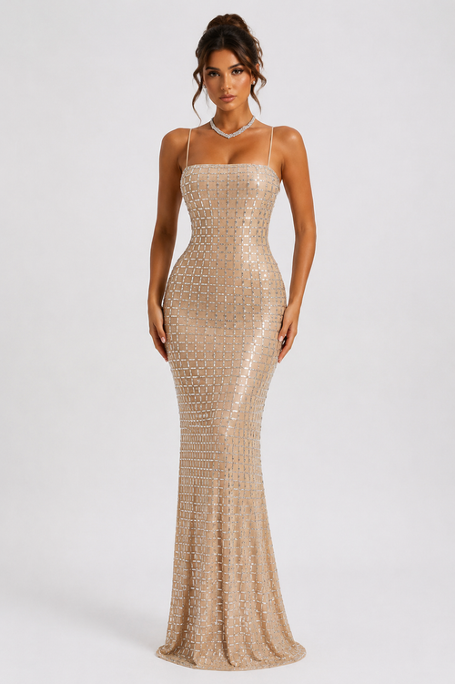 Seraphine Mesh Maxi Dress