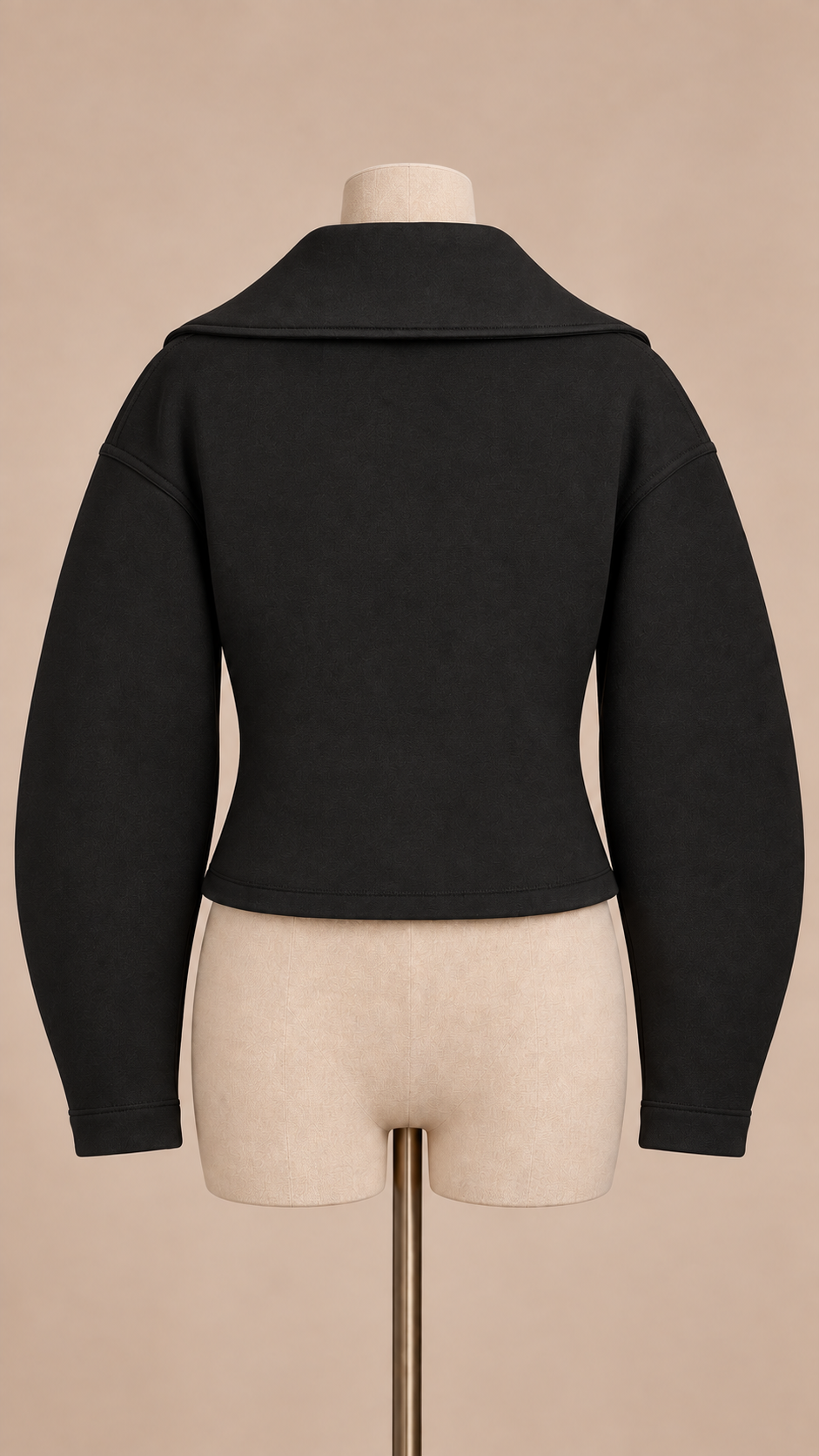 Elise Zip Collar Jacket — Black mannequin back