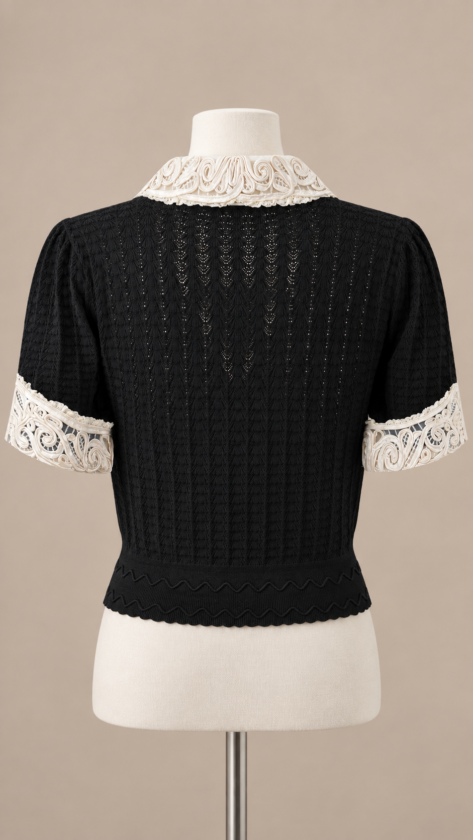 Colette Lace Collar Top — Black mannequin back