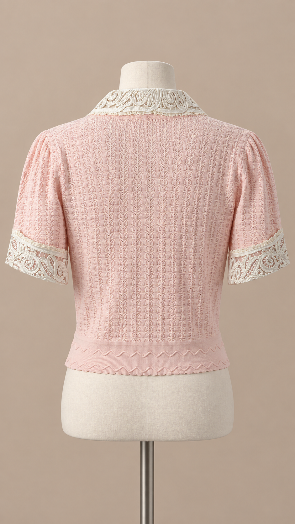 Colette Lace Collar Top — Pink mannequin back