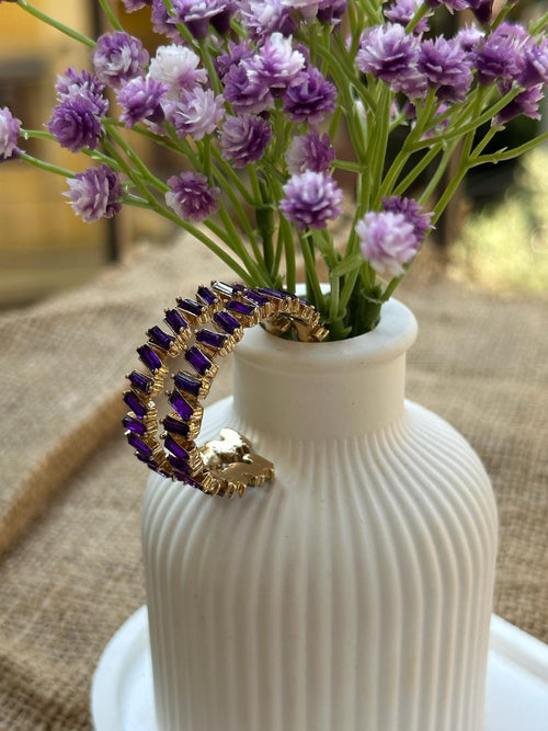 Purple Hoops