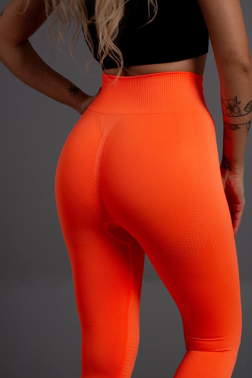 Seamless Tight - MD Fashionwear
